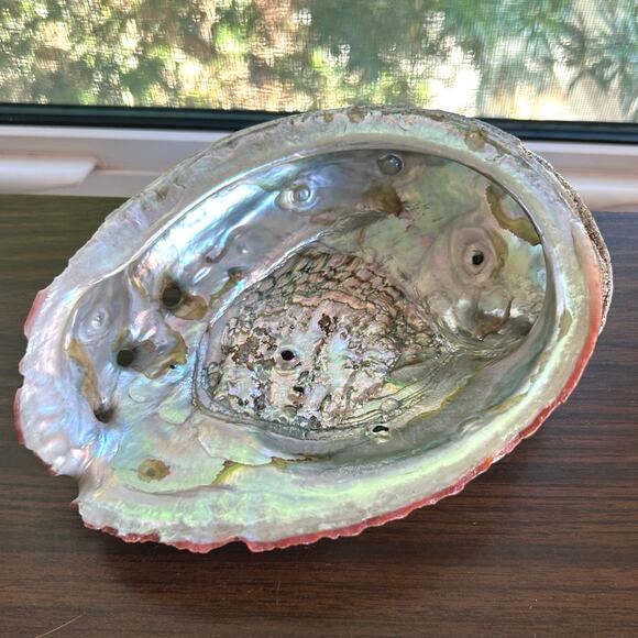 Vintage Abalone Shell – 7” Iridescent Mother of Pearl Display or Smudge Bowl - Picture 1 of 7